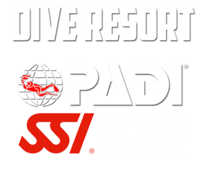 Dive Resort Padi SSI Scuba Schools International Sapphire